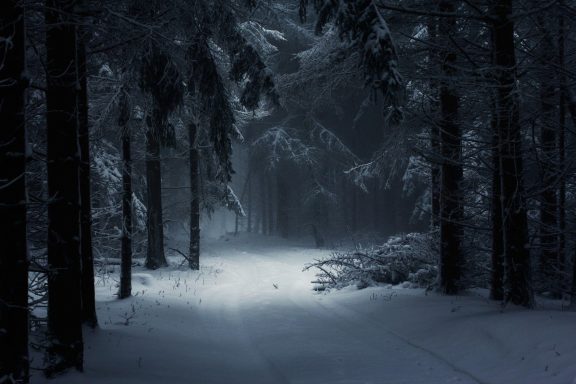 Dark, snowy forest path with tall trees and a mysterious figure in the distance.